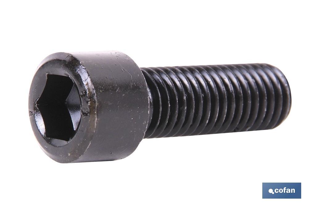 DIN-912 C-12.9    M-5 X 40 N