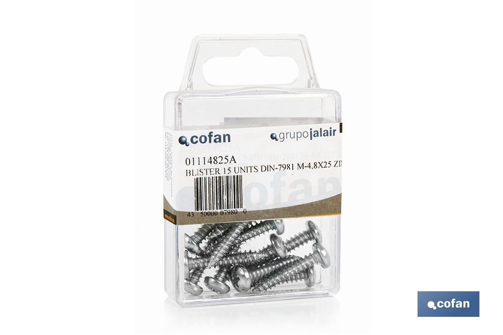 BLÍSTER DE 15 UDS. DIN-7981 M-42X19 ZINC VENTA UNITARIA